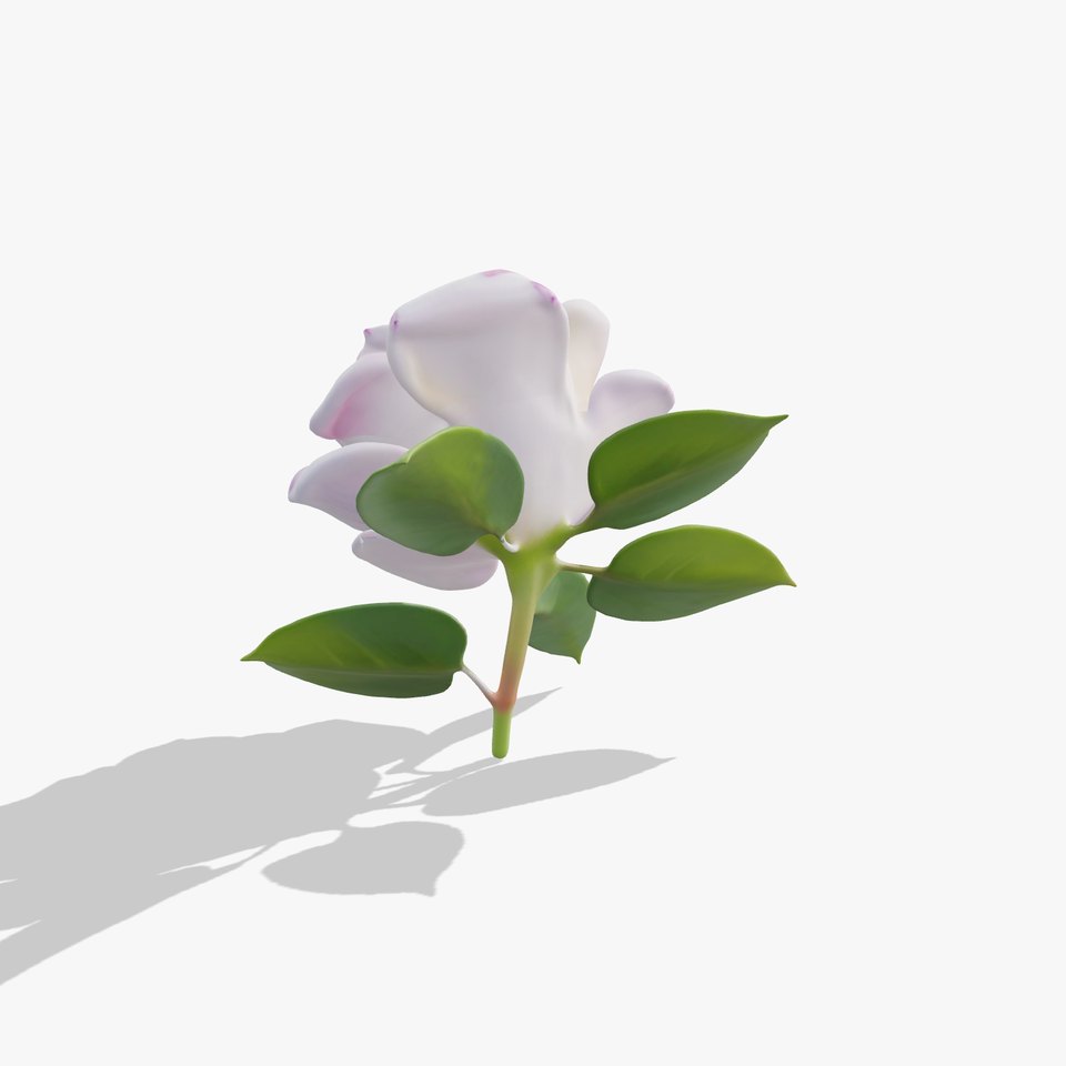 Elegant Pink Rose model pack